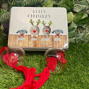 Pebble Reindeer Treat Tin, Christmas Hamper Tin, Family Reindeers, Family Gift, Cookie Tin,  Sweet Treat Tin
