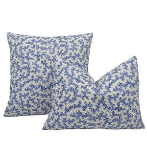two blue and white pillows on a white background