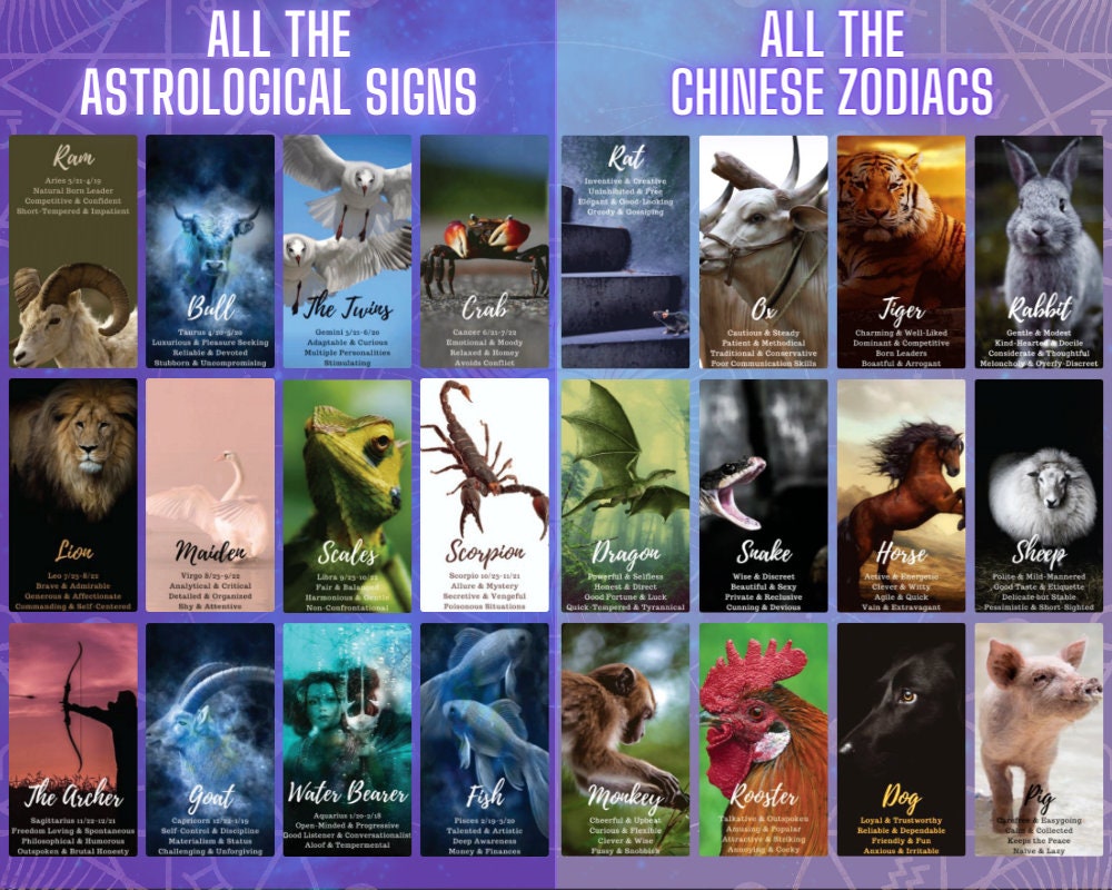 COSMIC ORACLE CARDS - Messages for Astrology, Spirit Animals & Signs from Spirit COSMIC ORACLE CARDS - Messages for Astrology, Spirit Animals & Signs from Spirit