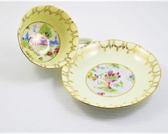 Royal Albert  English Cottage and  Garden  Pattern Cup and Saucer  Made in England