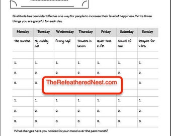 Happiness Journal Worksheet