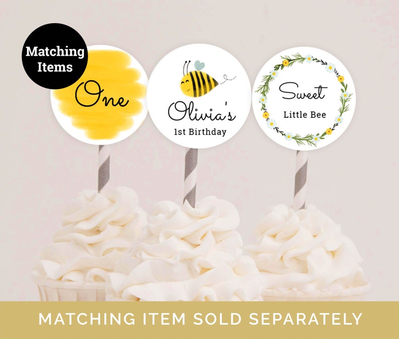 Bumble Bee Birthday Invitation Template 1st Bee Day Invitation Bee Day Party First Birthday Invite Bumble Bee Party Invitation Editable 003 image 7