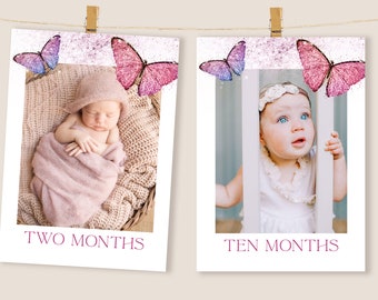 Butterfly Birthday Photo Banner, Butterfly 1st Birthday First Year Photos, Girl Monthly Photo Banner, Pink Butterfly Birthday Decorations 09