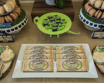 Dino Excavation Dig Digital Candy Bar Wrapper