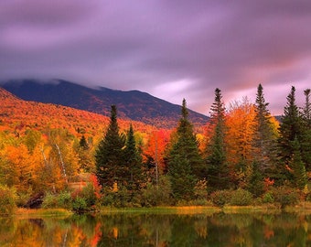 Foliage at Sunset - White Mountains, New Hampshire - New England -  Photo Print - Home Decor - Wall Art - Free Shipping