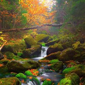 Tranquility - White Mountains, New Hampshire - New England -  Photo Print - Home Decor - Wall Art - Free Shipping