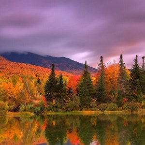 Foliage at Sunset - White Mountains, New Hampshire - New England -  Photo Print - Home Decor - Wall Art - Free Shipping