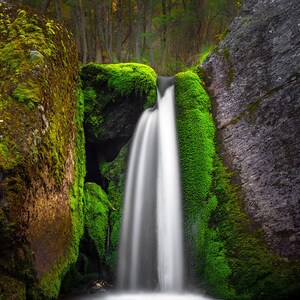 Mossy Falls - White Mountains, New Hampshire - New England -  Photo Print - Home Decor - Wall Art - Free Shipping