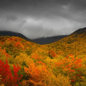 Impending - White Mountains, New Hampshire - New England Fall Foliage -  Photo Print - Home Decor - Wall Art - Free Shipping