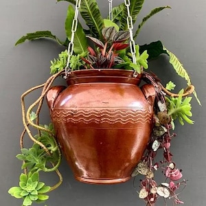 Op de afbeelding: Een hangende terracotta plantenpot met een golvend ontwerp rond de rand. De pot is gevuld met verschillende groene planten en hangende wijnstokken.