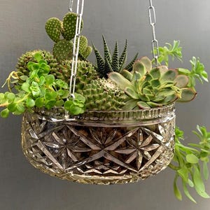 1930-talets engelska antika hängande öppna terrarium glasplanter kaktusar suckulent växtkruka jardiniere