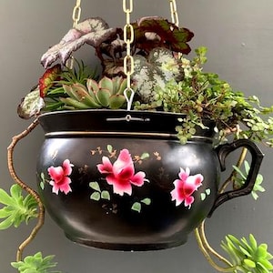 Può includere: Un vaso sospeso nero a forma di tazza da tè, decorato con motivi floreali rosa. È riempito con una varietà di piante verdi e bordeaux, tra cui succulente. Appeso a una catena dorata, crea un'estetica vintage.