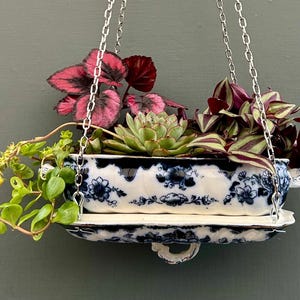 Peut inclure: Une jardinière suspendue composée d'un plat en céramique blanche à motif floral bleu, retenue par des chaînes en métal argenté. La jardinière contient diverses plantes, dont une succulente verte, un feuillage rose et des vignes vertes.