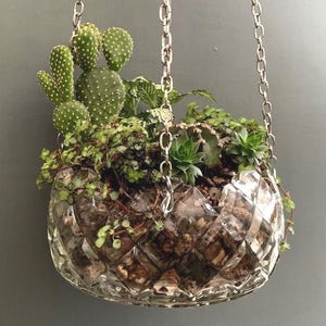 Precioso terrario colgante abierto de cristal prensado vintage para plantas, cactus y suculentas.
