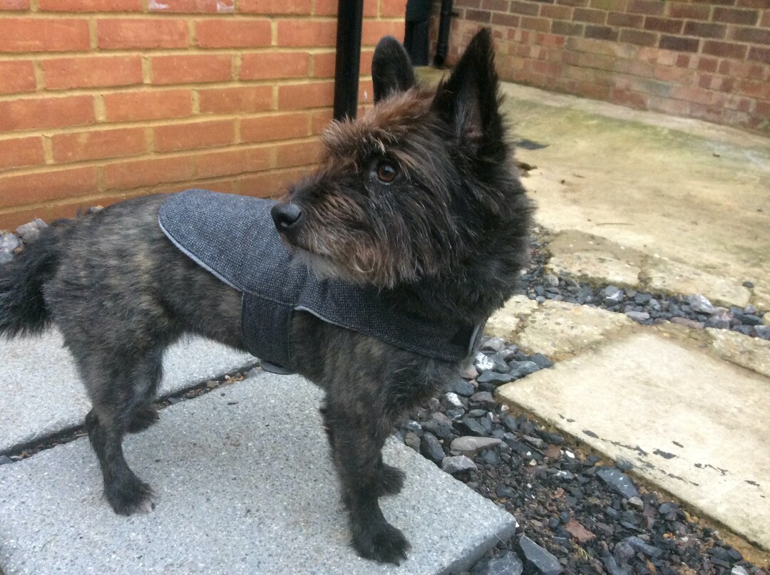 Dog coat, cashmere dog jacket, dog coat with harness hole, wool dog