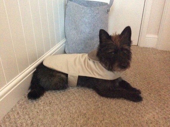 how to measure a dog for a coat uk