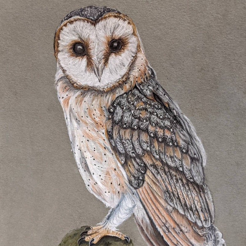 Owl Barn Gifts Uk - 60+ Gift Ideas for 2026