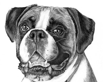 Bespoke Pet Portrait Commission in Graphite - Hand Drawn Custom artwork from photo - custom dog drawing - Pet drawing - custom pet portrait