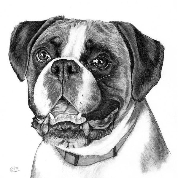 Bespoke Pet Portrait Commission in Graphite - Hand Drawn Custom artwork from photo - custom dog drawing - Pet drawing - custom pet portrait