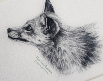 Fox Pencil Drawing Illustration Sketch -  Limited edition Giclée Print wildlife animal wall art decor