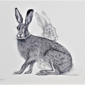 Hare Signed Giclee Art Print - Wild hares - black and white - wild animal art - wildlife home decor - hare wall decor