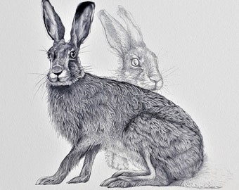 Hare Signed Giclee Art Print - Wild hares - black and white - wild animal art - wildlife home decor - hare wall decor