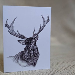 Weihnachtskarten Set - Hirsch/Rentier -6 Pack Karten und Umschlag Set - Animal Art Zeichnungen von Ellen Gould.