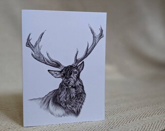 Ensemble de cartes de Noël - Cerf/Renne - Ensemble de 6 cartes et enveloppes - Dessins d'art animalier par Ellen Gould.