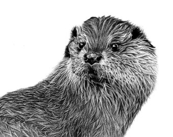 Otter Signed Giclee Art print - black and white - otter art - otter home decor - river otter art - otter gift - cottagecore