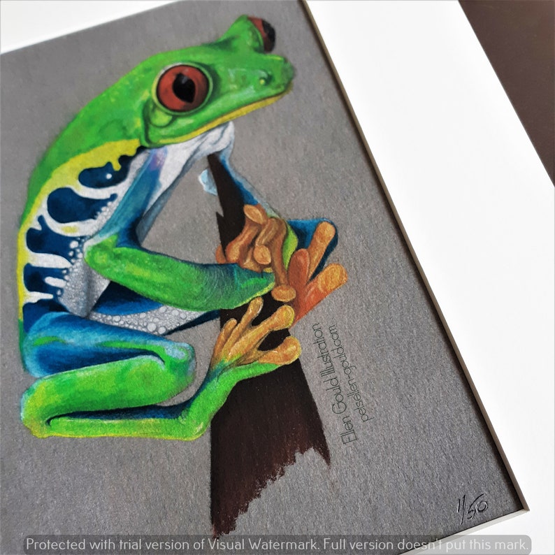 Green Tree Frog Pastel Drawing Print Animal Art Frog Art Etsy