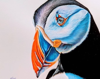 Puffin Signed Giclee Art Print - puffin home decor - colorful bird decor - puffin wall art - puffin home decor - bird wall decor