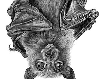 Fruit Bat Signed Giclee Art Print- Gothic wall art- Halloween -  wildlife drawing - gothic animal art - bat home decor - gothic wall decor