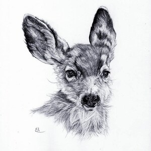 Sweet Baby Deer Signed Giclee Art Print - kunst aan de muur wildlife - fawn tekening - kinderdagverblijf decor - baby herten home decor - zwart-wit