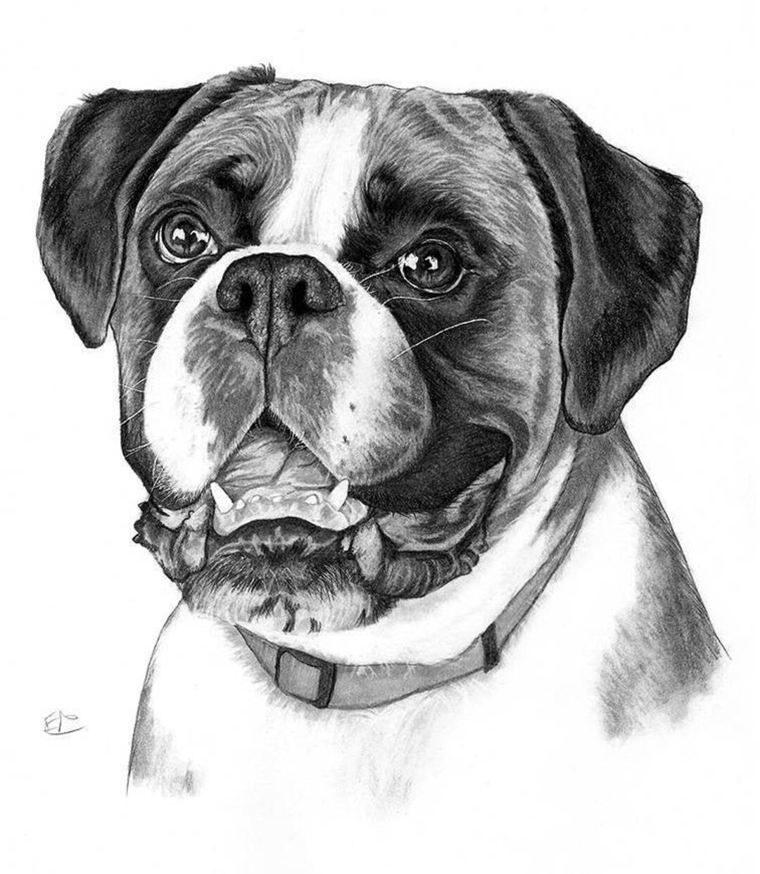 Bespoke Pet Portrait Commission in Graphite - Hand Drawn Custom Artwork ...