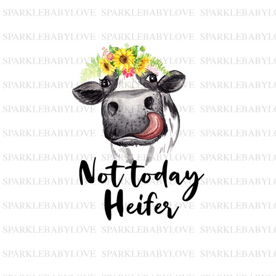 not today heifer yeti