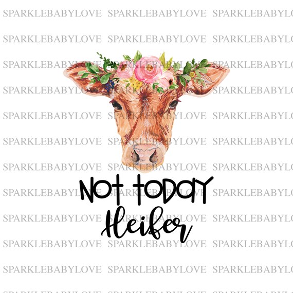 not today heifer yeti