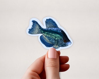 Blue Crappie Sticker | Sticker | Lake Life | Stickers for Cooler | Fish Stickers | Fisherman Stickers | Lake Stickers | Fishing Gift