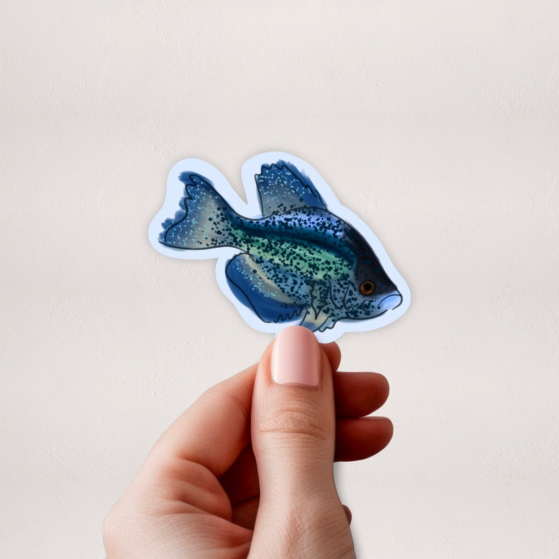 Blue Crappie Sticker Sticker Lake Life Stickers for Cooler Fish Stickers Fisherman Stickers Lake Stickers Fishing Gift image 1