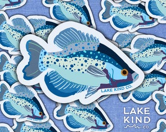 Blue Crappie Sticker: Fisherman Decal