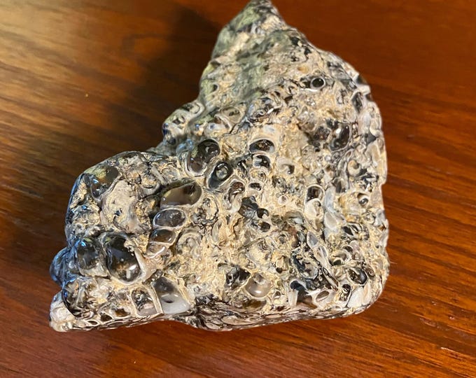 TURRITELLA AGATE, 3/4 LB+ Fossilized Palm Stone, Polished, 384.70 Grams, Wyoming, CR12129
