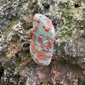 Pu&ograve; includere: Una pietra liscia e allungata con una base di colore grigio e numerose macchie arrotondate di colore rosso-arancio sparse sulla superficie. La pietra ha un aspetto levigato ed &egrave; posizionata contro uno sfondo di roccia ruvida e strutturata.