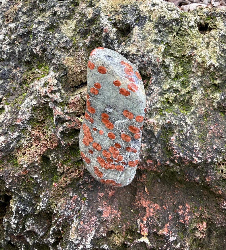 Pu&ograve; includere: Una pietra liscia e allungata con una base di colore grigio e numerose macchie arrotondate di colore rosso-arancio sparse sulla superficie. La pietra ha un aspetto levigato ed &egrave; posizionata contro uno sfondo di roccia ruvida e strutturata.