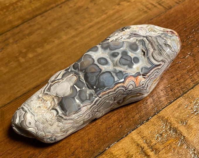 Crazy Lace Agate Palm Stone, 1/2 LB+ Polished, Orbicular, Globular, Mexico, 264.20 Grams, CR11618