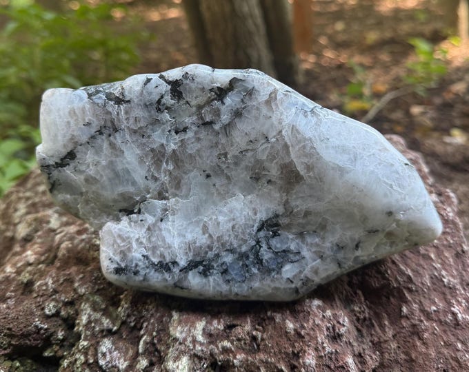 Rainbow Moonstone, Polished Cabinet Stone, 937.80 Grams, India, CR12702