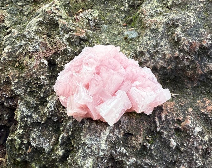 Pink Halite, Rock Salt Crystal, Hopper Crystals, Searles Valley California, 48.40 Grams, CR12493