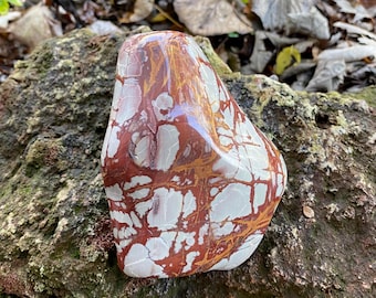 XL Noreena Jasper, 2-1/4 LBS Picture Jasper, Polished Cabinet Stone, Western Australia, 1000.30 Grams, CR12220