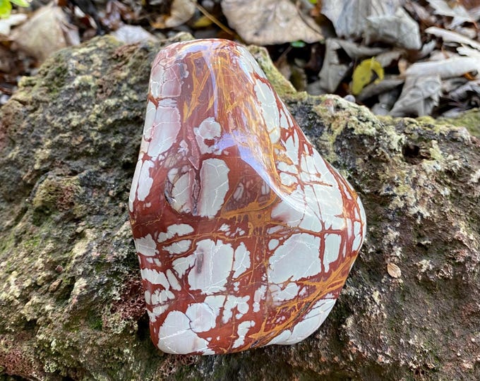 XL Noreena Jasper, 2-1/4 LBS Picture Jasper, Polished Cabinet Stone, Western Australia, 1000.30 Grams, CR12220