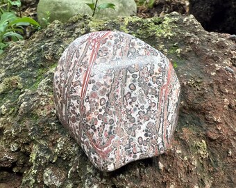 Leopard Skin Jasper, 1 LB- Polished, Freeform, Standing Orbicular Stone, Mexico 433.10 Grams, CR12588