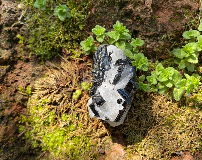 Black Tourmaline in Quartz, RAW, 32.10 Grams,  Brazil, CR11608