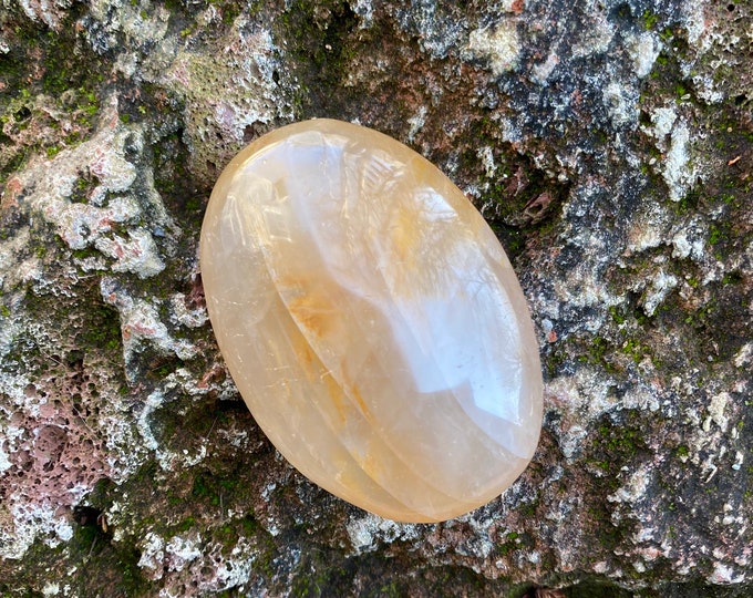 Arkansas Golden Healer, Polished Orbicular Palm Stone, Endless Possibilities, Mine Fresh, 84.80 Grams, CR11541